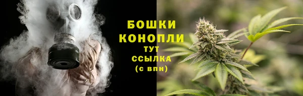 мдпв Россошь