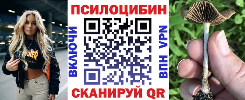 Галлюциногенные грибы прущие грибы  наркота  Пятигорск 